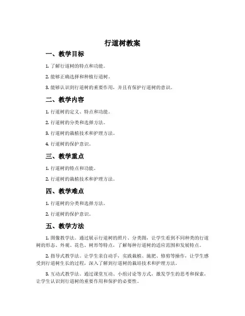 《行道树》教案