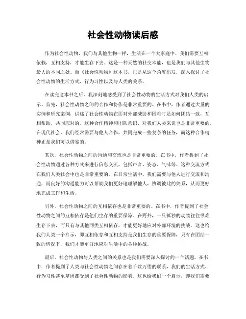 社会性动物读后感