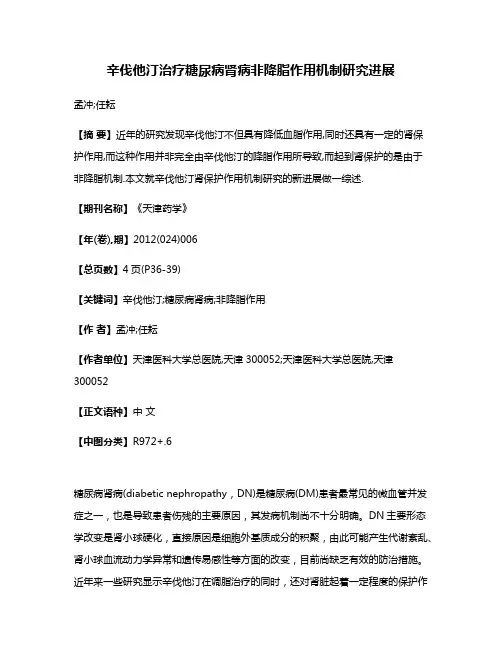 辛伐他汀治疗糖尿病肾病非降脂作用机制研究进展