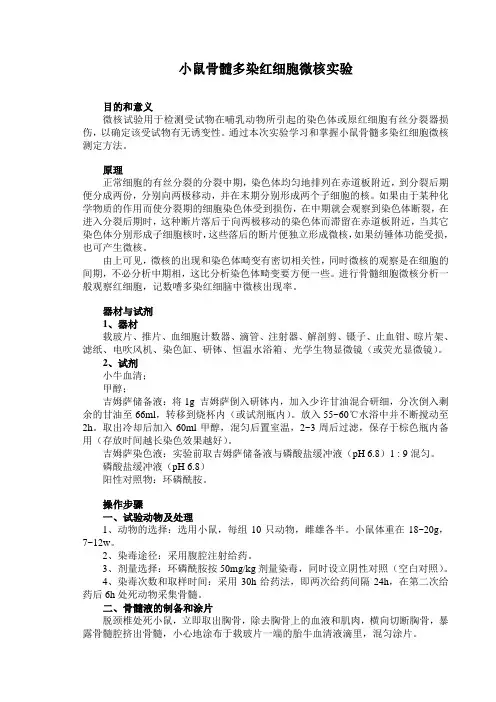 小鼠骨髓多染红细胞微核实验