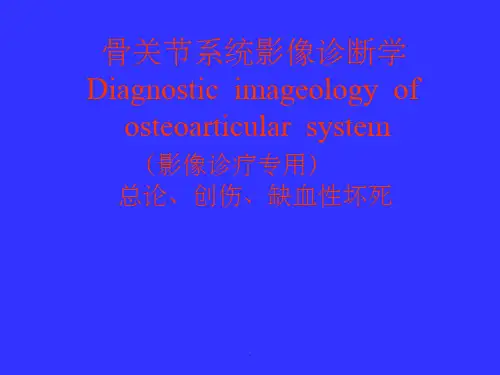 影像本科骨关节系统影像诊断学ppt课件