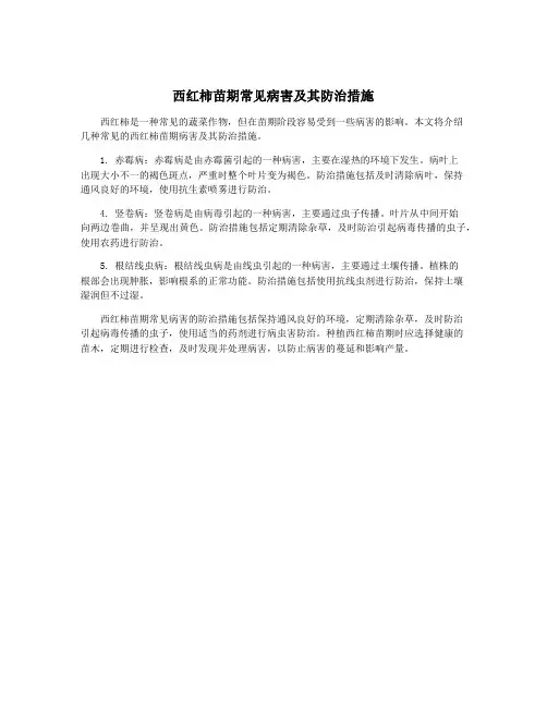 西红柿苗期常见病害及其防治措施
