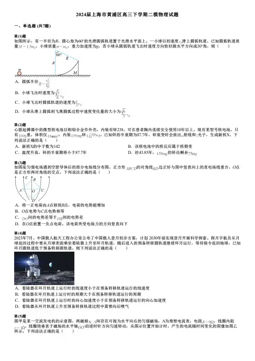 2024届上海市黄浦区高三下学期二模物理试题