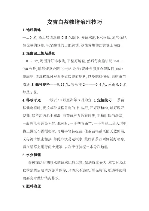 安吉白茶栽培管理技术