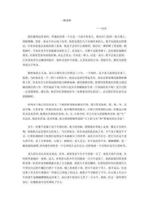 一棵老树教案