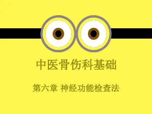 中医骨伤学基础教学课件第六章神经功能检查法