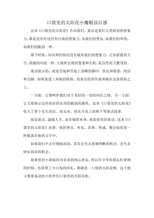 口袋里的太阳花小魔帽读后感