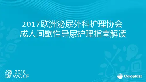 2017 EAUN-成人间导护理指南解读final (1)