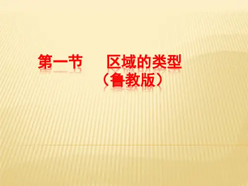 区域类型