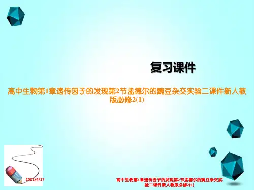 高中生物第1章遗传因子的发现第2节孟德尔的豌豆杂交实验二课件新人教版必修2(1)