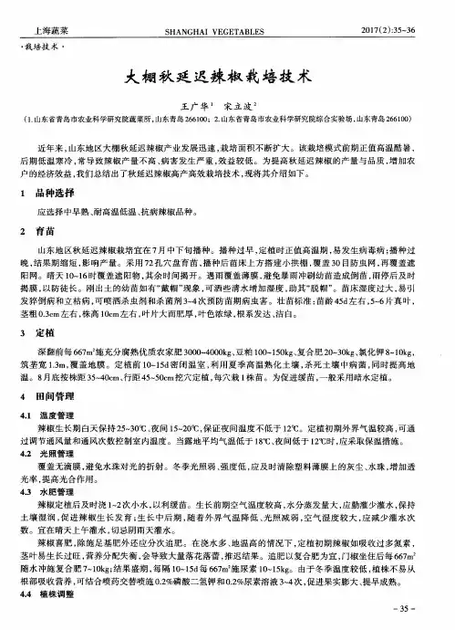 大棚秋延迟辣椒栽培技术