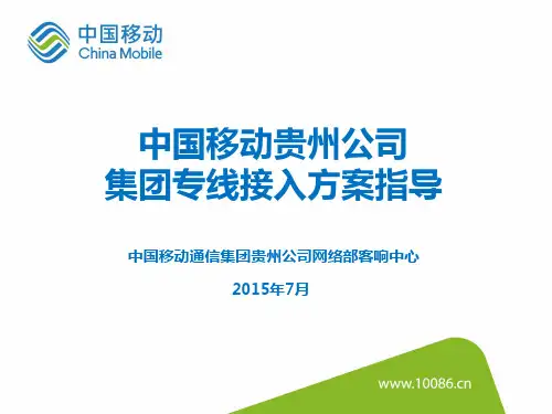 集团专线接入指导.
