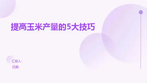 提高玉米产量的5大技巧