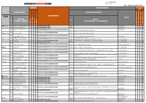 风险和机遇管理表