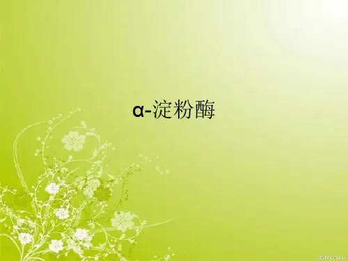 淀粉酶课件