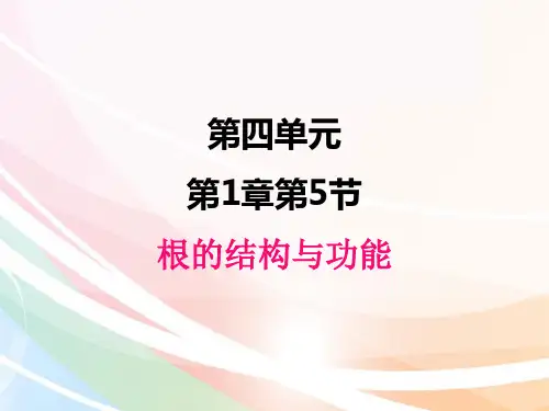 济南版生物八年级上册 .5根的结构及功能 课件
