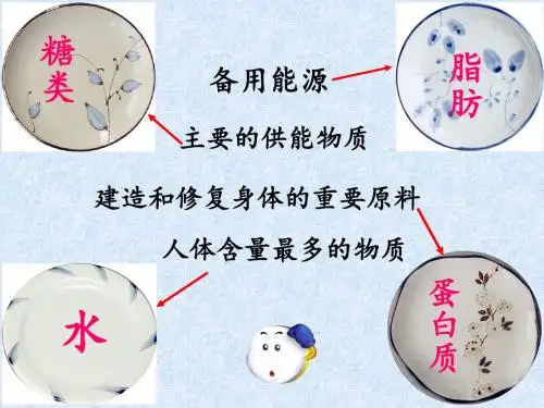 人教版生物七年级下册第四单元第二章第三节合理营养与食品安全