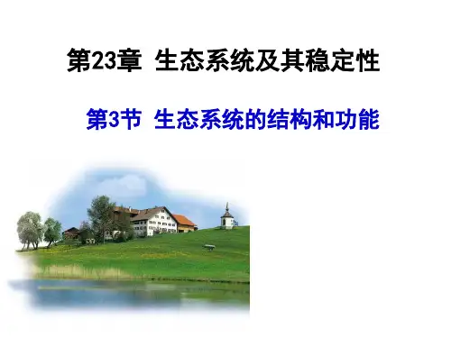 北师大版八年级下册2生态系统的结构与功能课件