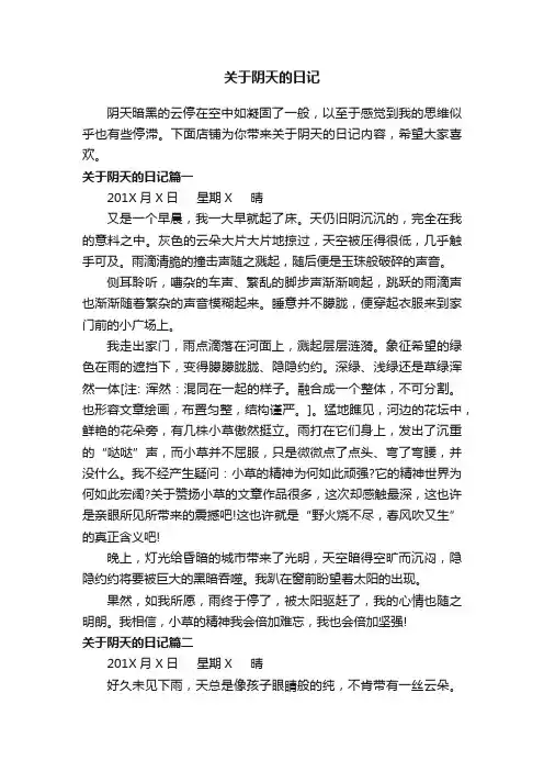 关于阴天的日记 2