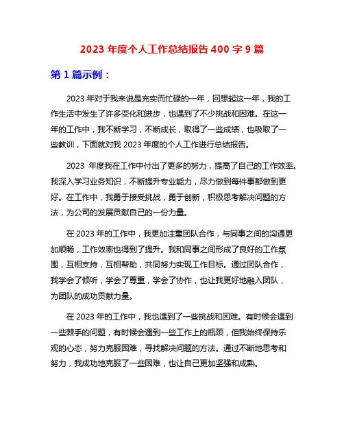 2023年度个人工作总结报告400字9篇