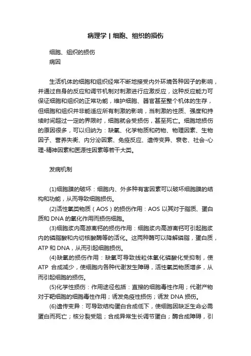 病理学丨细胞、组织的损伤