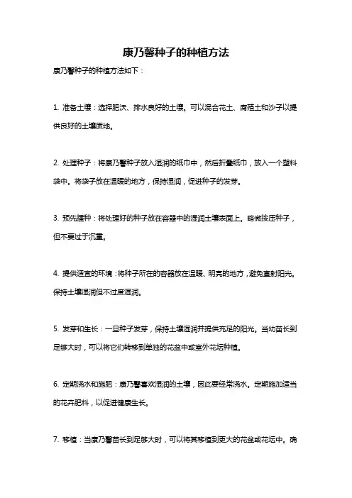 康乃馨种子的种植方法