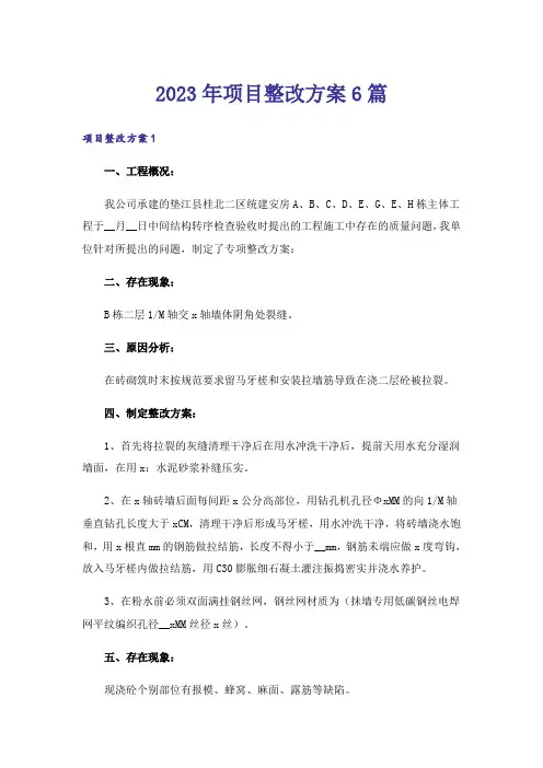 2023年项目整改方案6篇