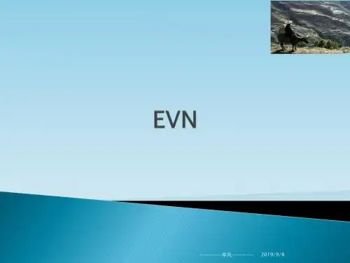 华为数据中心技术学习之EVN