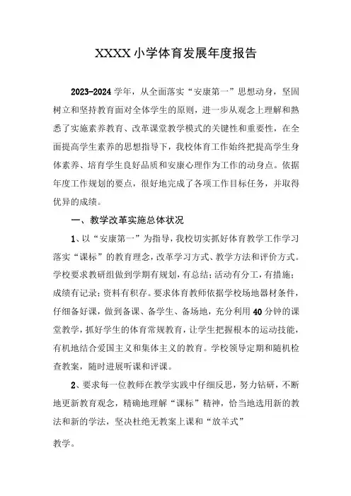 小学体育发展年度报告