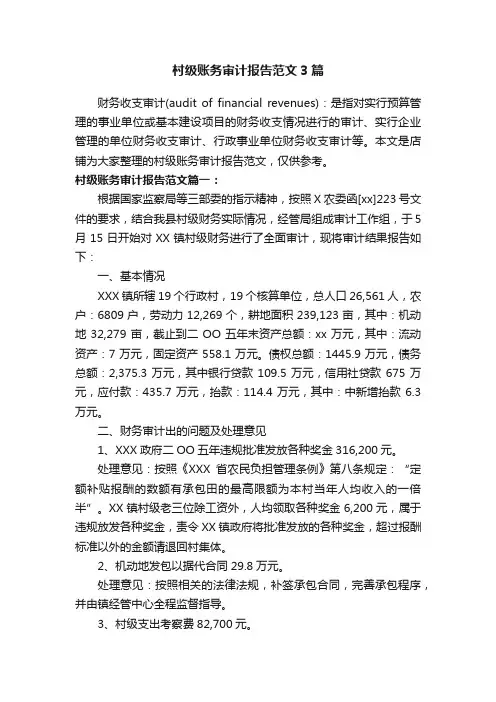 村级账务审计报告范文3篇