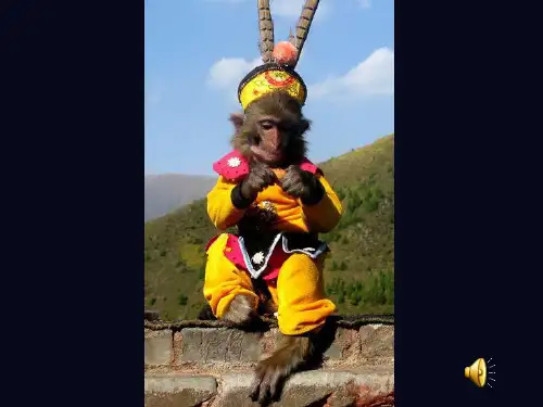 人美版小学美术六年级下册《动画片的今昔》课件(
