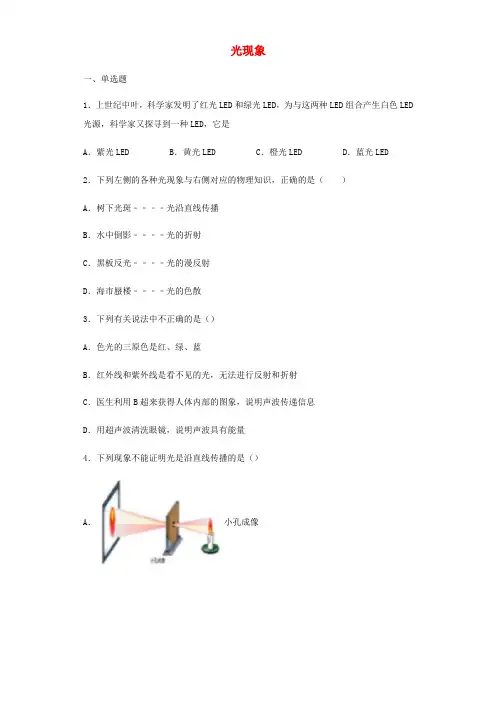 2019年中考物理小题狂做(选择题)光现象(含解析)