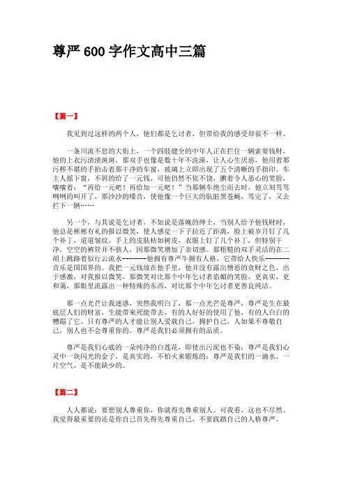 尊严600字作文高中三篇