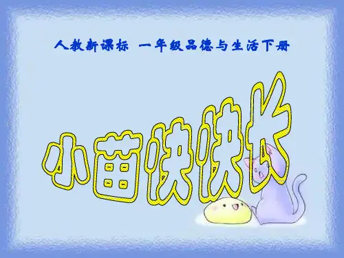 小苗快快长(人教新课标)