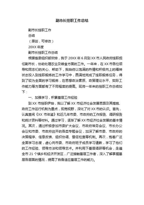副市长挂职工作总结