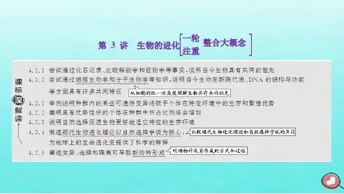 2024届高考生物一轮总复习必修2第七单元生物的变异与进化第3讲生物的进化课件