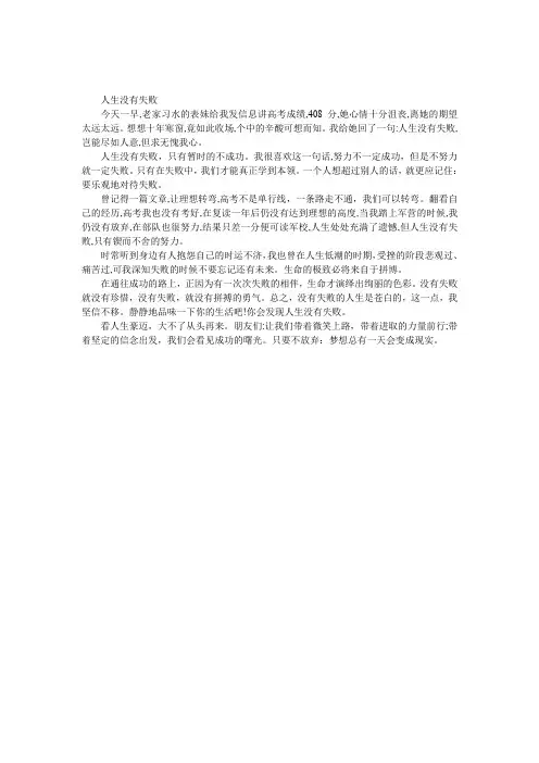 人生没有失败