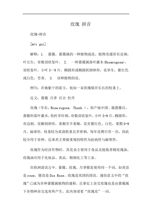 玫瑰 拼音