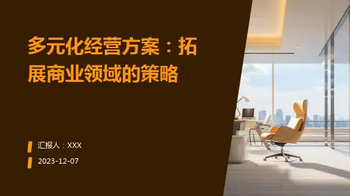 多元化经营方案：拓展商业领域的策略