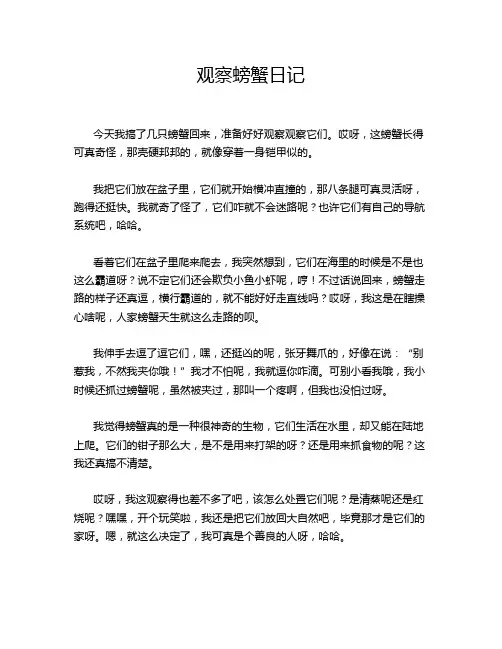 观察螃蟹日记