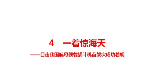 2023-2024学年统编版语文八年级上册第4课《一着惊海天》课件(共36张PPT)