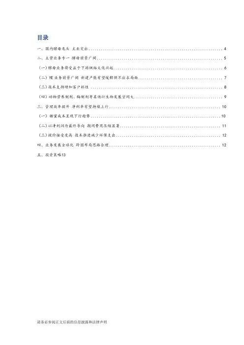 安琪酵母调查报告