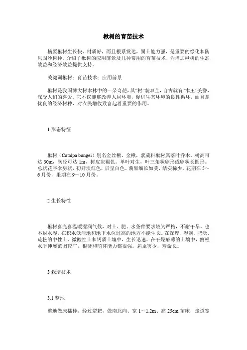 楸树的育苗技术