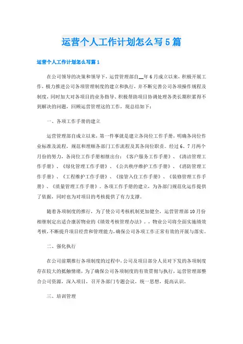 运营个人工作计划怎么写5篇