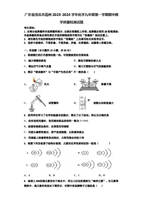 广东省茂名市高州2023-2024学年化学九年级第一学期期中教学质量检测试题含解析