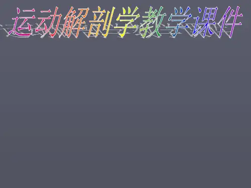 运动解剖学ppt课件