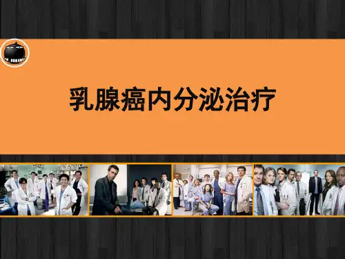 乳腺癌的内分泌治疗 ppt