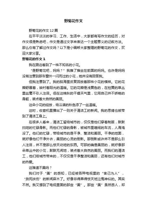 野菊花的作文12篇