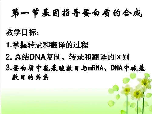 高考生物必修2人教版4.1基因指导蛋白质的合成PPT教学课件