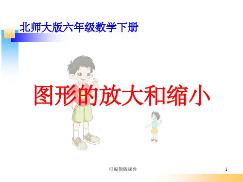 北师大版六年级数学下册《图形的放大和缩小》ppt课件